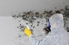 Best Real Estate Mold Inspection  in North Hobbs, NM